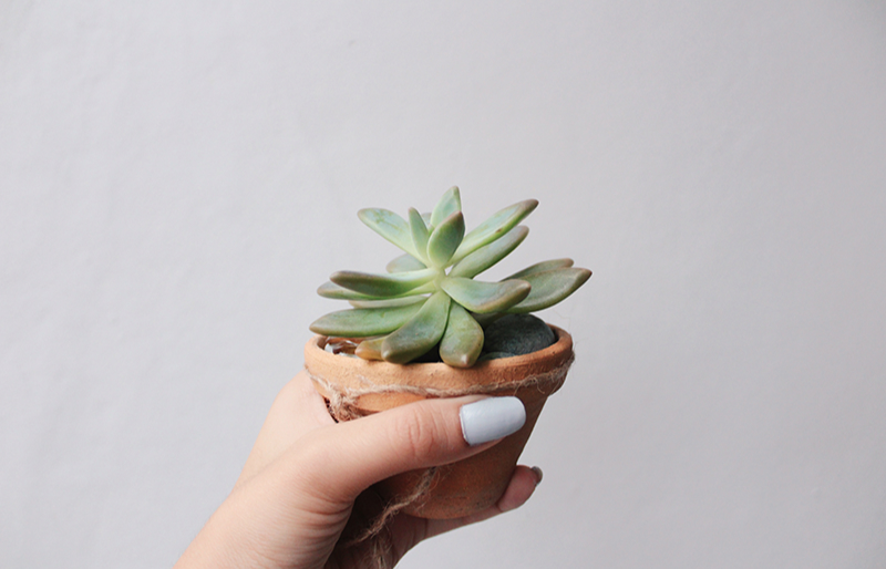 NFT 策展文章主視覺插圖